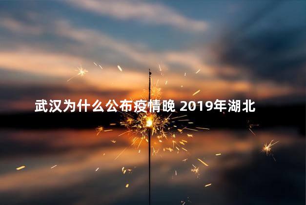 武汉为什么公布疫情晚 2019年湖北疫情